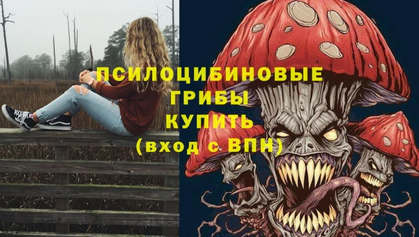a pvp Алексеевка