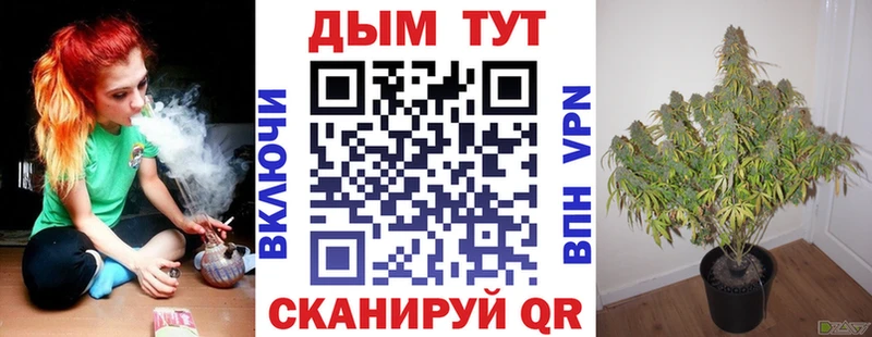 Бошки Шишки Amnesia как найти Трёхгорный